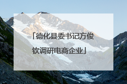 德化县委书记方俊钦调研电商企业