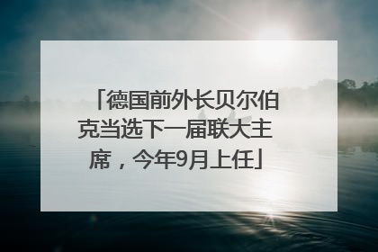 德国前外长贝尔伯克当选下一届联大主席，今年9月上任