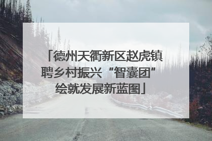 德州天衢新区赵虎镇聘乡村振兴“智囊团” 绘就发展新蓝图