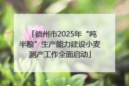 德州市2025年“吨半粮”生产能力建设小麦测产工作全面启动