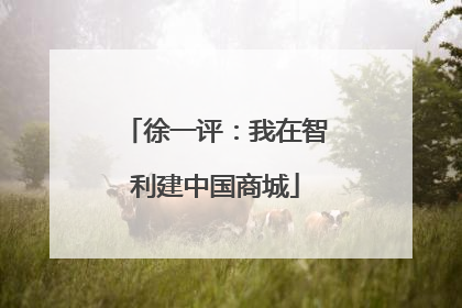 徐一评：我在智利建中国商城