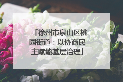 徐州市泉山区桃园街道：以协商民主赋能基层治理
