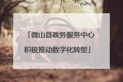 微山县政务服务中心积极推动数字化转型