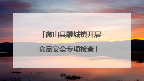 微山县驩城镇开展食品安全专项检查
