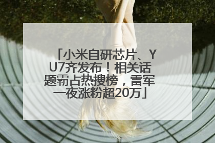 小米自研芯片、YU7齐发布！相关话题霸占热搜榜，雷军一夜涨粉超20万