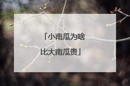 小南瓜为啥比大南瓜贵