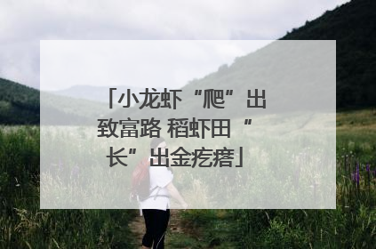 小龙虾“爬”出致富路 稻虾田“长”出金疙瘩