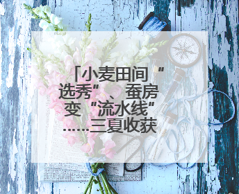 小麦田间“选秀”、蚕房变“流水线”……三夏收获正在进行