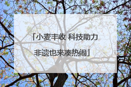 小麦丰收 科技助力 非遗也来凑热闹