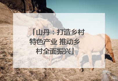 山丹：打造乡村特色产业 推动乡村全面振兴