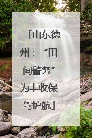山东德州：“田间警务”为丰收保驾护航