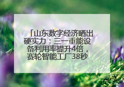 山东数字经济晒出硬实力：三一重能设备利用率提升4倍，赛轮智能工厂38秒生产一条轮胎