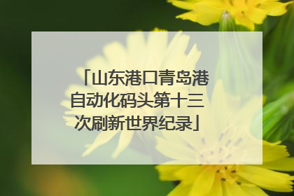 山东港口青岛港自动化码头第十三次刷新世界纪录