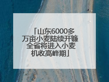 山东6000多万亩小麦陆续开镰 全省将进入小麦机收高峰期