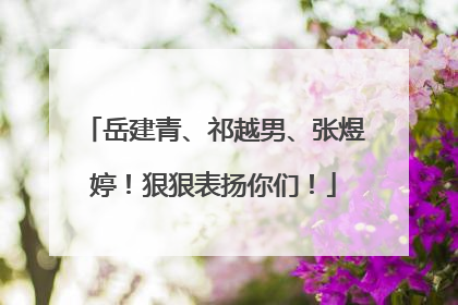 岳建青、祁越男、张煜婷！狠狠表扬你们！