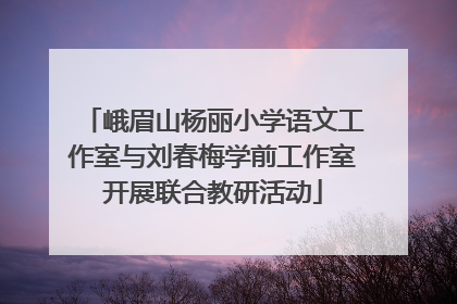 峨眉山杨丽小学语文工作室与刘春梅学前工作室开展联合教研活动