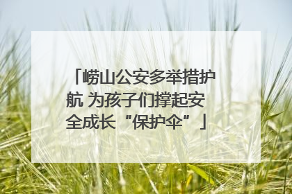 崂山公安多举措护航 为孩子们撑起安全成长“保护伞”