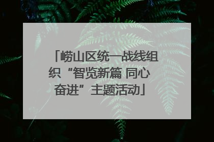 崂山区统一战线组织“智览新篇 同心奋进”主题活动