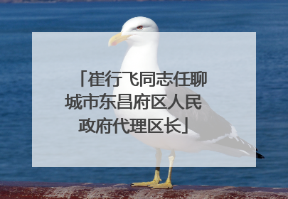 崔行飞同志任聊城市东昌府区人民政府代理区长