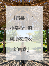 嵩县：“小蚕茧”织就助农增收新画卷
