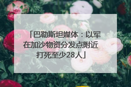 巴勒斯坦媒体：以军在加沙物资分发点附近打死至少28人