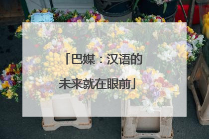 巴媒：汉语的未来就在眼前