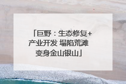 巨野：生态修复+产业开发 塌陷荒滩变身金山银山