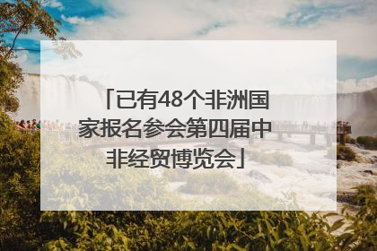 已有48个非洲国家报名参会第四届中非经贸博览会