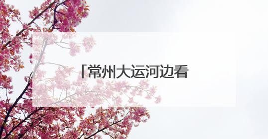 常州大运河边看龙舟竞渡，非遗竞技点燃端午激情