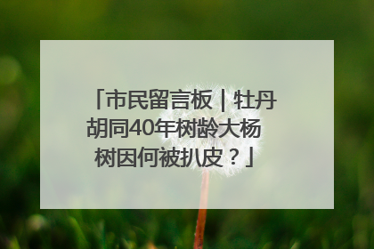 市民留言板｜牡丹胡同40年树龄大杨树因何被扒皮？