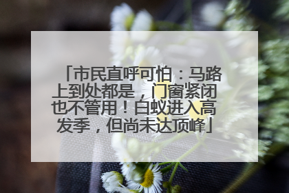 市民直呼可怕：马路上到处都是，门窗紧闭也不管用！白蚁进入高发季，但尚未达顶峰
