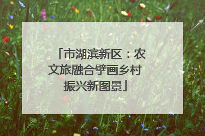 市湖滨新区：农文旅融合擘画乡村振兴新图景