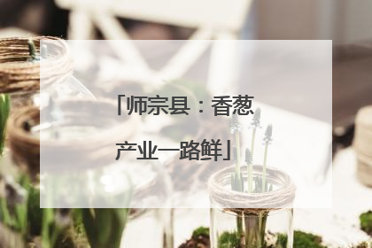 师宗县：香葱产业一路鲜