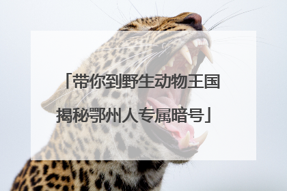 带你到野生动物王国揭秘鄂州人专属暗号