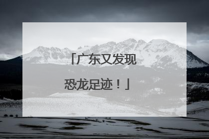 广东又发现恐龙足迹！