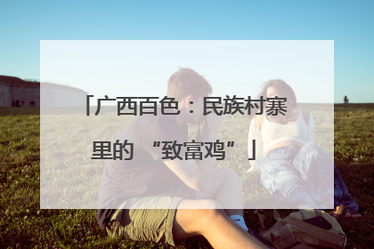 广西百色：民族村寨里的 “致富鸡”