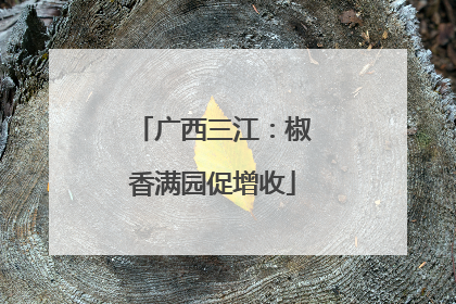 广西三江：椒香满园促增收