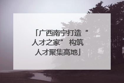 广西南宁打造“人才之家” 构筑人才聚集高地