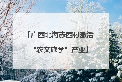 广西北海赤西村激活“农文旅学”产业