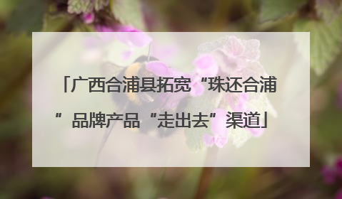 广西合浦县拓宽“珠还合浦”品牌产品“走出去”渠道