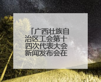 广西壮族自治区工会第十四次代表大会新闻发布会在南宁举行