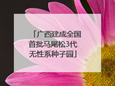 广西建成全国首批马尾松3代无性系种子园