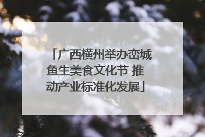 广西横州举办峦城鱼生美食文化节 推动产业标准化发展