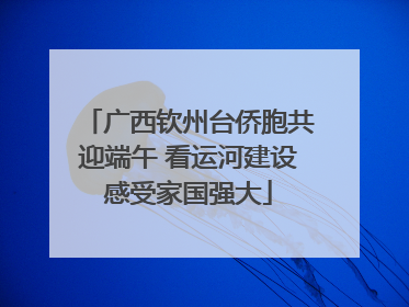 广西钦州台侨胞共迎端午 看运河建设感受家国强大