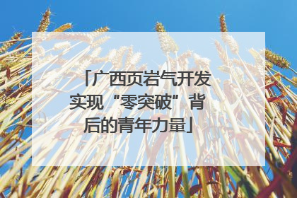 广西页岩气开发实现“零突破”背后的青年力量