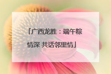广西龙胜：端午粽情深 共话邻里情