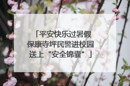 平安快乐过暑假 保康寺坪民警进校园送上“安全锦囊”