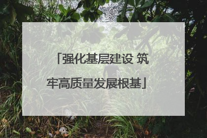强化基层建设 筑牢高质量发展根基