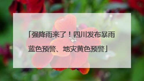强降雨来了！四川发布暴雨蓝色预警、地灾黄色预警