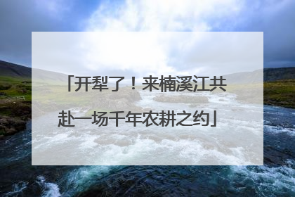 开犁了！来楠溪江共赴一场千年农耕之约